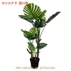 tFCNO[ lHϗtA t  z[ x_ p ^ CeA sv sv Q̐SzȂ zj Vzj  Ύ ϗtA A ͂