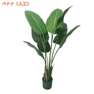 1000�~OFF�N�[�|�� �t�F�C�N�O���[�� ���t�� �l�H�ϗt�A�� �C���e���A ���r���O ���� �V���v�� ������� �l�H�ϗt�� �C���e���A���� �ϗt�A�� �������ȒP �����s�v ���Q�̐S�z�Ȃ� �J�X 