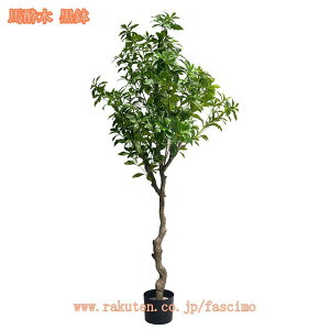 lHϗt lHϗtA tFCNO[ ^ { Vv  b炸 sv ItBX  rO    CeA A zj Vzj 