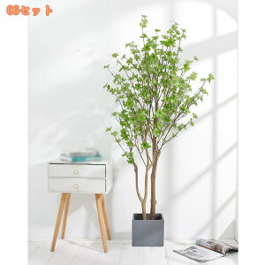 2000~OFFN[| lHϗtA tFCNO[ ^ 傫 ̂Ȃ yȊϗtA  ͋C  CeA rO    p Mtg 蕨 