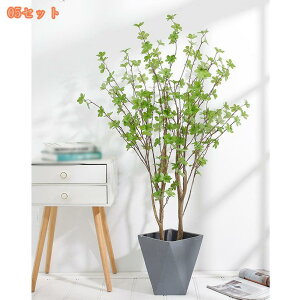 lHϗtA tFCNO[ ^ 傫 ̂Ȃ yȊϗtA  ͋C  CeA rO    p Mtg 蕨 K _ 