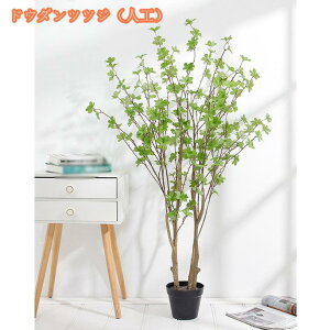 lHϗtA tFCNO[ ^ 傫 ̂Ȃ yȊϗtA  ͋C  CeA rO    p Mtg 蕨 K _ 