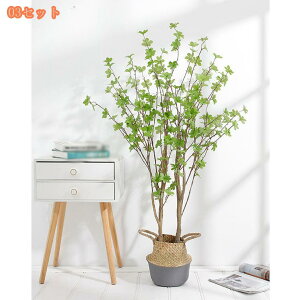 lHϗtA CeA tFCNO[ ^   Lb` rO _CjO Q A A CeA j JX JƏj y 킢 sv tFCNO