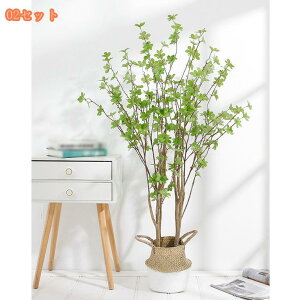 lHϗtA CeA tFCNO[ ^   Lb` rO _CjO Q A A CeA j JX JƏj y 킢 sv tFCNO