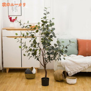 lHϗtA tFCNO[ ^ A oii̖  t v[g CeA p Bep   A j JXj ό ho y ϐ fR[V 