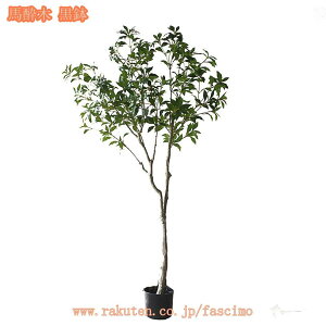 lHϗtA ډB tFCNO[ ^ lHA CeA lHϗtA tFCNt rO tFCNO[ lHϗtA tFCNO[ j v[g Mtg zj