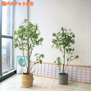 lHϗtA ډB tFCNO[ ^ lHA CeA lHϗtA tFCNt rO tFCNO[ lHϗtA tFCNO[ j v[g Mtg zj