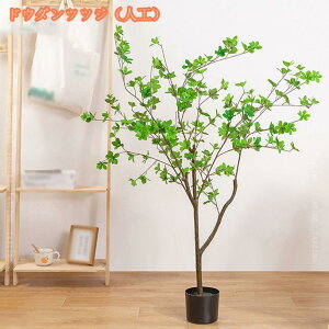 1000~OFFN[| tFCNO[ lHϗtA ^ A tFCNϗtA CeA ItBX  tFCNO[ lHϗt sv ͂Ȃ QȂ lH