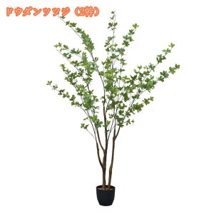 2000~OFFN[| tFCNO[ lHϗtA ^ A tFCNϗtA CeA ItBX  tFCNO[ lHϗt sv ͂Ȃ QȂ lH