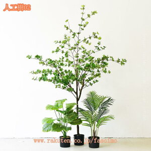 1000~OFFN[| lHϗtA CeA tFCNO[ ^   Lb` rO _CjO Q A A CeA j JX JƏj y 킢 