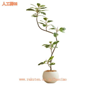 1000~OFFN[| lHϗtA  A tFCNO[ ^ CeA x_ p X u fR[V 뉀 ItBX _ j v[g Mtg 蕨 