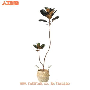 2000~OFFN[| tFCNO[ ϗtA tFCN lHϗtA ^  CeA A  j lHA  Vv ItBX  t rO  lHϗt l