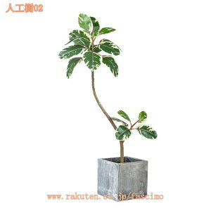 lHA lHϗtA CeAO[ ϗtA lHA ^ tFCNO[ lHϗtA 傫 ItBX  Z ItBX Xܗp Ɩp P A zj Vz