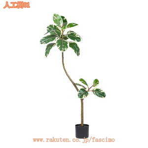 tFCNO[ lHϗt ^ lHϗtA  ItBX  JXj ΂̂炵 ze [ j JƏj zj Vzj ȒP sv Q