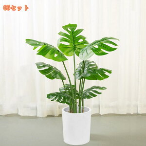 lHϗtA Ύ i` lHA tFCNO[ 傫 ^ CeAO[ ϗt A[gO[ rO JXj e@ p sv zj Vzj 