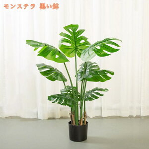 tFCNO[ sv ͂Ȃ QȂ lHϗtA ϗtA CeA ItBX  tFCNO[ tFCN ^ A lHϗt lHϗtA  It