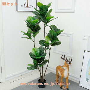 A lHA ϗtA  tFCN  ^ CeA tFCNO[ X u fR[V 뉀 ItBX ȒP j v[g Mtg 蕨 _  