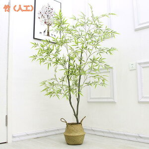 tFCNO[ ϗA lHϗt ϗtA tFCNϗtA ^ lHϗtA ^ p Vv ItBX  CeA  lHϗtA j ̓ Mtg 蕨 