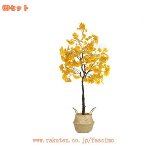 lHA lHϗtA tFCNO[ A CeA v[g   tFCNO[ ^ lHϗtA lHϗt ϗtA ϗt lHA lH ~ C