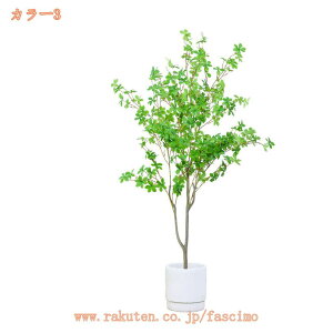 1000~OFFN[| A lHA ϗtA  tFCNO[ ^ CeA tFCNO[ X u fR[V 뉀 ItBX ȒP j v[g Mtg 