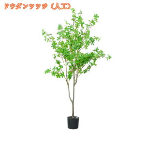 tFCNO[ t lHϗtA lHϗt ϗtA tFCN Vv  CeA rO  CeA  ȒP sv Q̐SzȂ A 