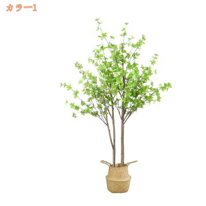 tFCNO[ t lHϗtA lHϗt ^ ϗtA tFCN[ Vv  CeA rO  CeA A JX Vz z j v[g 