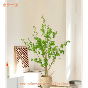 tFCNO[ ϗA lHϗt ϗtA tFCNϗtA ^ lHϗtA ^ p Vv ItBX  CeA  lHϗtA j ̓ Mtg 蕨 