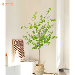 1000~OFFN[| tFCNO[ ϗtA 傫 lHϗtA CeA  ItBX   tFCNO[ O[ CeA lH tFCN lHϗtA ͂Ȃ t