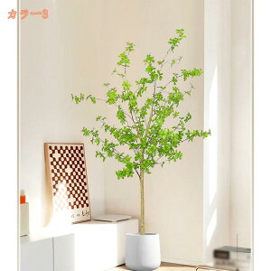 1000~OFFN[| tFCNO[ ϗtA 傫 lHϗtA CeA  ItBX   tFCNO[ O[ CeA lH tFCN lHϗtA ͂Ȃ t