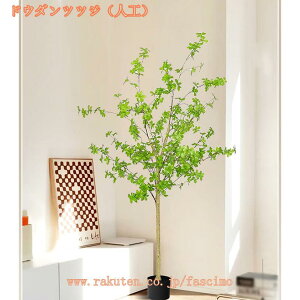 1000~OFFN[| lHA lHϗtA tFCNO[ ϗtA tFCN ͂Ȃ rO 傫 lHA ^  CeA O[ ItBX JXj ȒP 