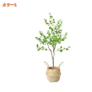 2000~OFFN[| tFCNO[ t lHϗtA lHϗt ^ Vv  CeA rO  CeA A JX Vz z j v[g 