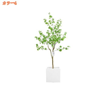 2000~OFFN[| tFCNO[ t lHϗtA lHϗt ^ Vv  CeA rO  CeA A JX Vz z j v[g 