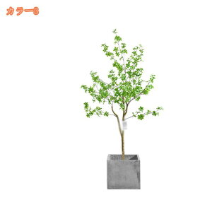 1000~OFFN[| lHϗtA lHA tFCNO[ 傫  CeAO[ bJ ϗt A[gO[ JXj e@ p sv A zj Vzj