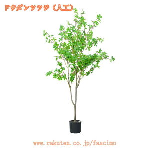 300~OFFN[| lHϗtA lHA tFCNO[ 傫 CeAO[ bJ ϗt A[gO[ JXj e@ p sv zj Vzj rO l