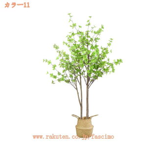 1000~OFFN[| lHϗtA ^ 傫 lHA sv sv  X GgX c Ή E P  lHC`E CG[  O Ce