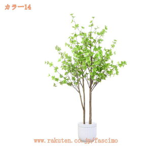 1000~OFFN[| lHϗtA ^ 傫 lHA sv sv  X GgX c Ή E P  lHC`E CG[  O Ce