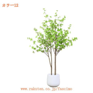 1000~OFFN[| lHϗtA ^ 傫 lHA sv sv  X GgX c Ή E P  lHC`E CG[  O Ce