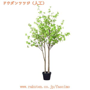 300~OFFN[| tFCNO[ ϗtA lHϗtA ^  CeA A  j lH    rO ItBX  Vv ϗt lHA ϗtA 