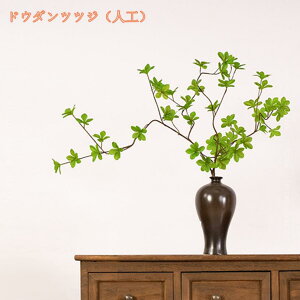 lHA lHϗtA 傫 CeAO[ bJ ϗt A[gO[ JXj e@ p sv A zj Vzj rO lHA Ύ i` 