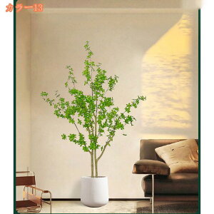 2000~OFFN[| lHA tFCNO[ A CeA v[g   tFCNO[ ^ lHϗtA lHϗt ϗtA ~ CeAO[ A 