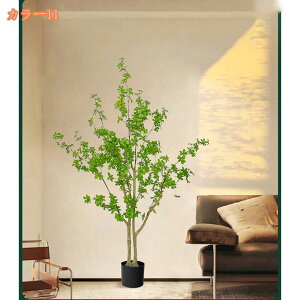 1000~OFFN[| lHA tFCNO[ A CeA v[g   tFCNO[ ^ lHϗtA lHϗt ϗtA ~ CeAO[ A 