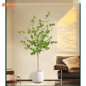 2000~OFFN[| tFCNO[ t lHϗtA lHϗt ^ Vv  rO  CeA A JX Vz zj v[g ȒP s