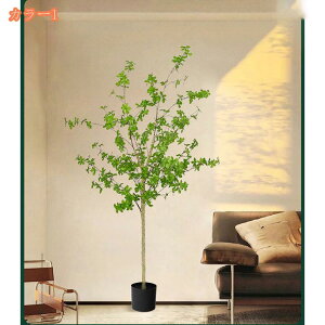 2000~OFFN[| tFCNO[ t lHϗtA lHϗt ^ Vv  rO  CeA A JX Vz zj v[g ȒP s