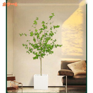 { lHϗt lHϗtA tFCNO[ ^ tFCNϗtA Vv t  b炸 sv ItBX  CeA z[ fR[V A