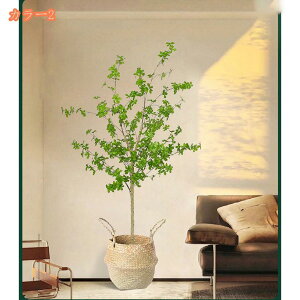 { lHϗt lHϗtA tFCNO[ ^ tFCNϗtA Vv t  b炸 sv ItBX  CeA z[ fR[V A