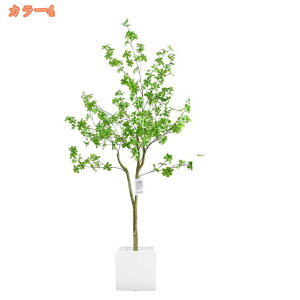 1000�~OFF�N�[�|�� �t�F�C�N�O���[�� �l�H�A�� �ډB�� �l�H�ϗt�A�� ��^ �l�H�ϗt�A�� �t�F�C�N�O���[�� ���� ������ ���͋C��� ���A�� ���t�� ������ ���r���O ���� �C���e���A �����s�v 