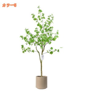 tFCNO[ lHA ډB lHϗtA ^ lHϗtA tFCNO[   ͋C A t  rO  CeA sv v[g Mt