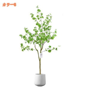 tFCNO[ lHA ډB lHϗtA ^ lHϗtA tFCNO[   ͋C A t  rO  CeA sv v[g Mt