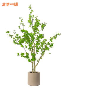 {lHϗtA tFCNO[ ^ lHϗt tFCNϗtA Vv t  b炸 sv ItBX  CeA z[ fR[V A 