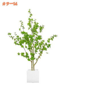 {lHϗtA tFCNO[ ^ lHϗt tFCNϗtA Vv t  b炸 sv ItBX  CeA z[ fR[V A 